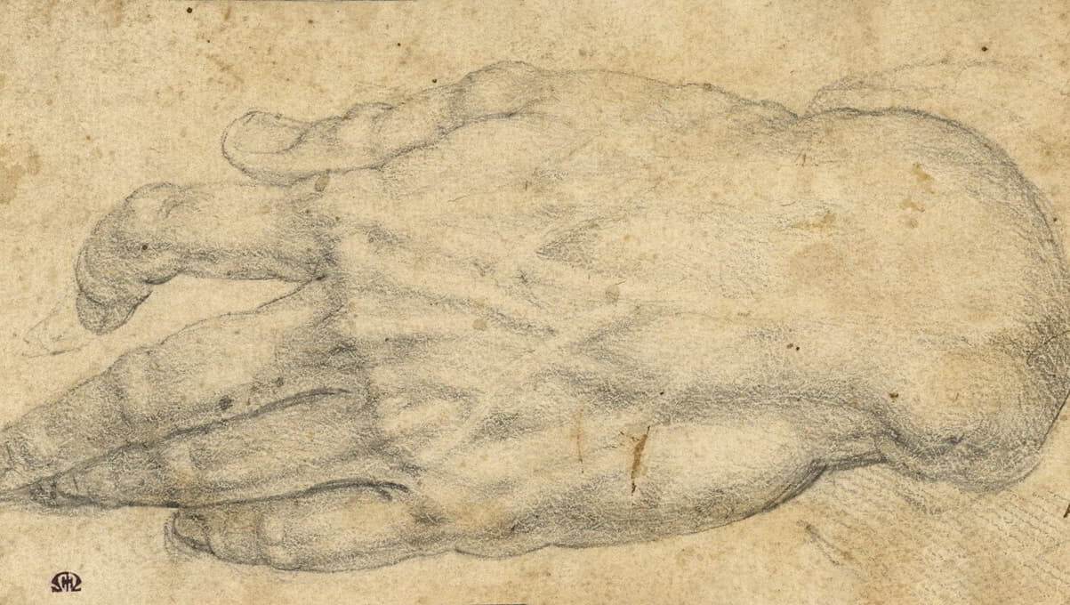 Agnolo Bronzino - Study of a man’s right hand