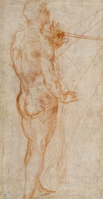 Andrea del Sarto - Study of a Nude Man