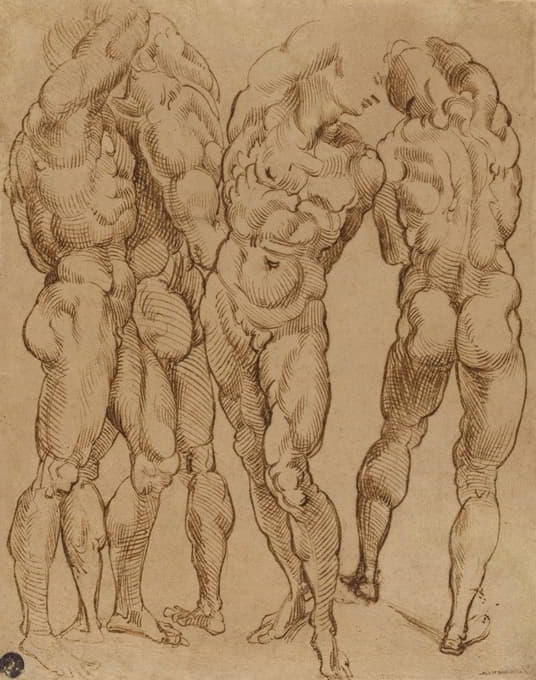 Bartolomeo Passarotti - Nude Studies