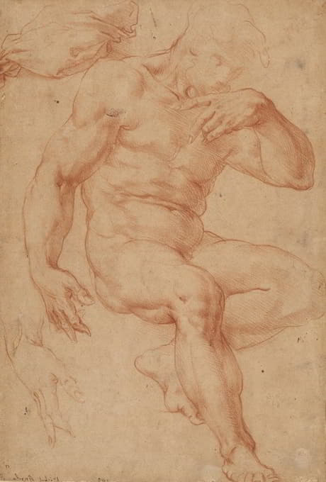 Giorgio Vasari - Studies of a Male Nude, a Drapery, and a Hand