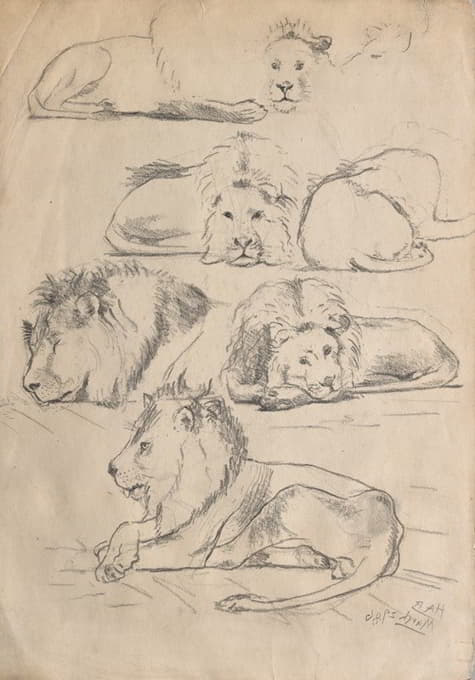 John Haberle - Studies of Lions