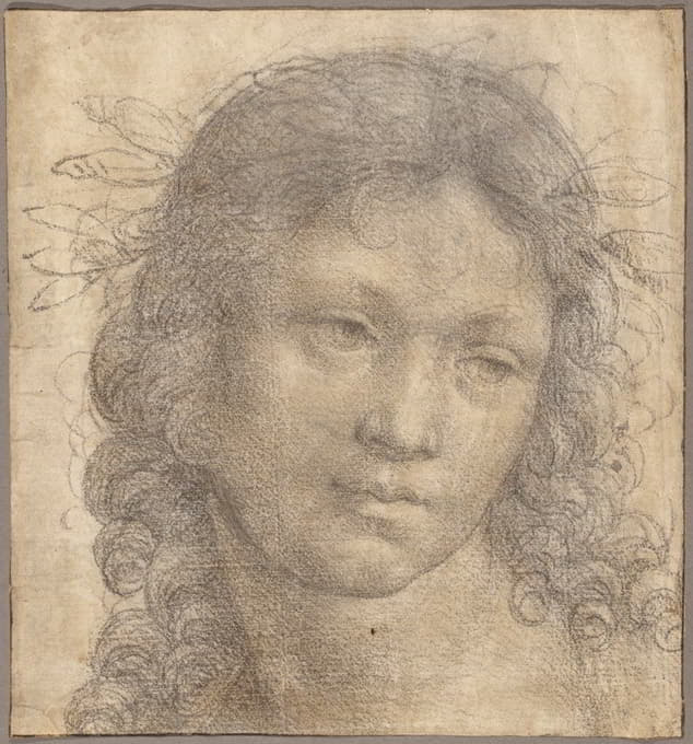 Lorenzo di Credi - The Head of a Young Boy Crowned with Laurel