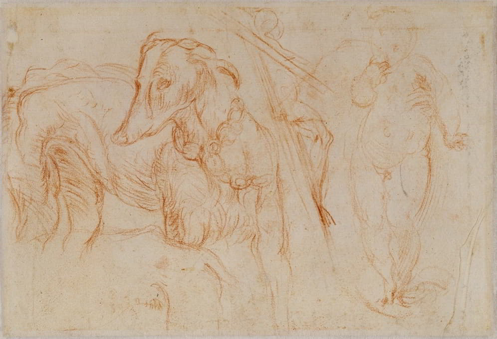 Parmigianino - Studies of the Christ Child, a Crucifix, and a Dog