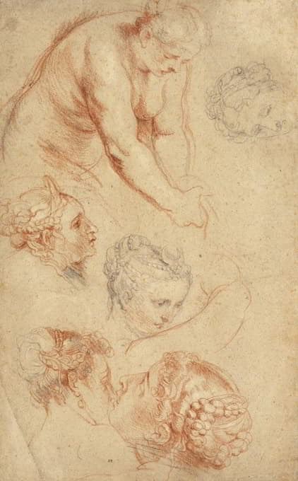 Peter Paul Rubens - Studies of Women