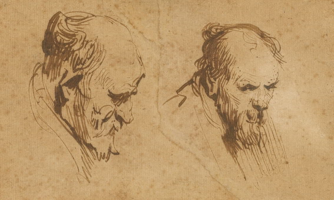 Rembrandt van Rijn - Two Studies of the Head of an Old Man
