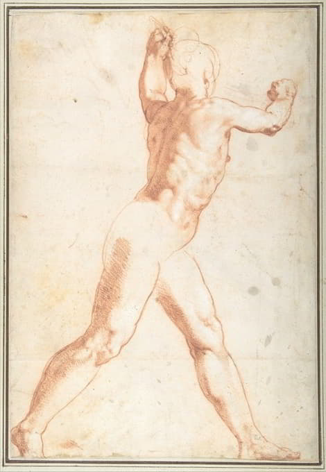 Taddeo Zuccaro - Standing Nude Man