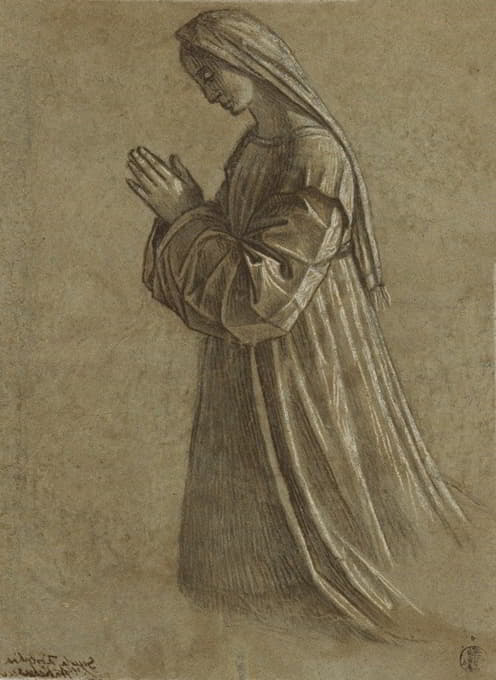 Vittore Carpaccio - Study of the Virgin