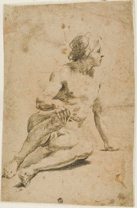 Carlo Cignani - Seated Male Nude