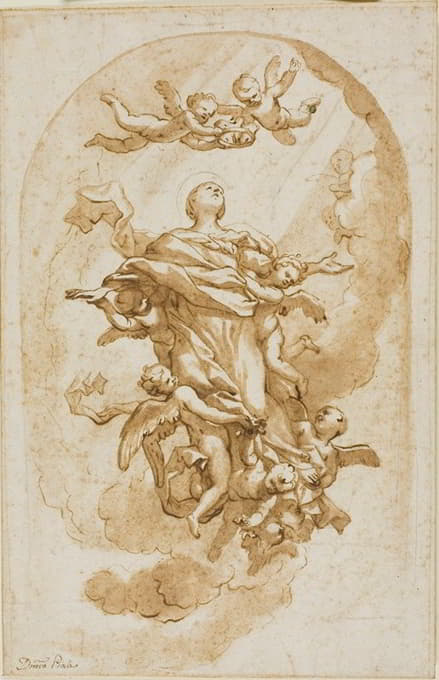 Domenico Piola - Assumption of the Virgin