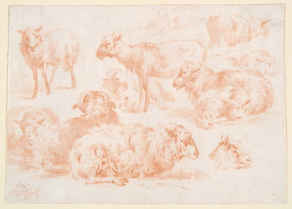 Jan Ryks - Studies of Sheep