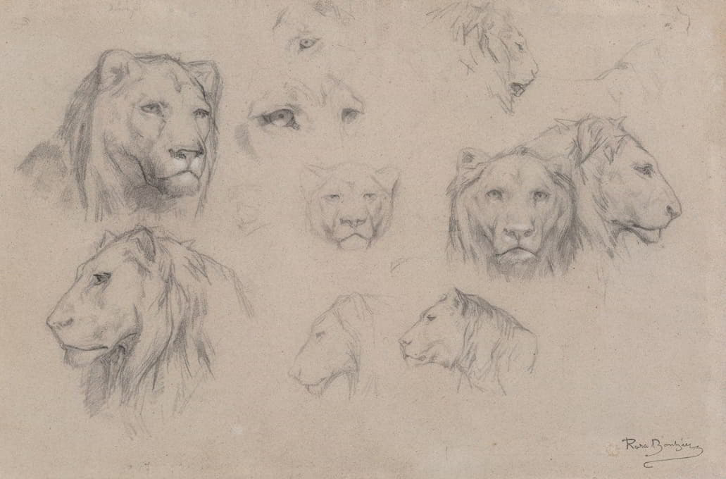 Rosa Bonheur - Study of heads of lions and lionesses