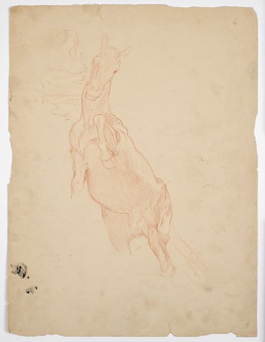 Franz von Matsch - Studien eines aufsteigenden Pferdes