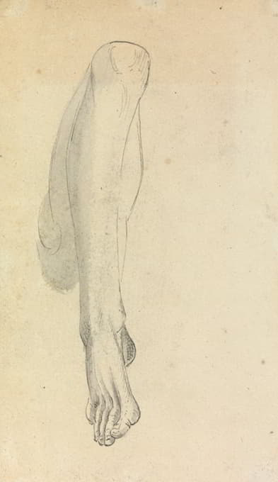 Benjamin Robert Haydon - Anatomical Study of a Leg