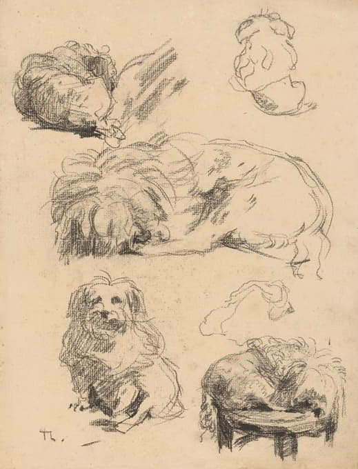 Willem Bastiaan Tholen - Studies van een hondje