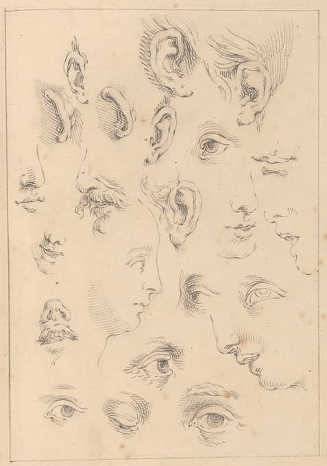 眼睛、耳朵和侧面的各种草图
