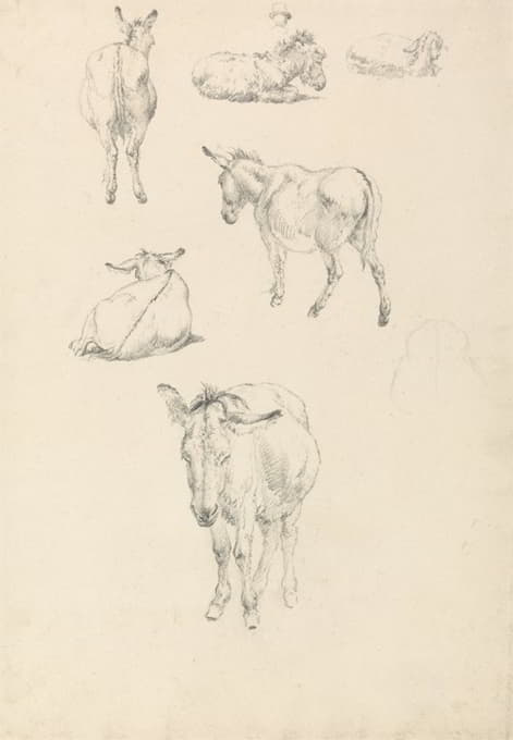 Robert Hills - A Donkey, Six Studies; Lying, Walking, Standing, Sitting