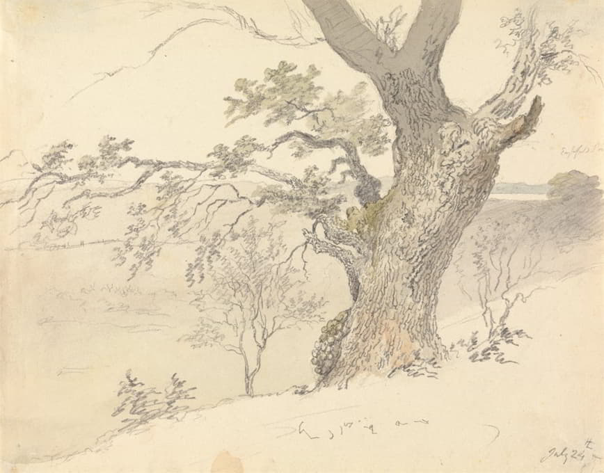 Robert Hills - An Oak in Englefield Park