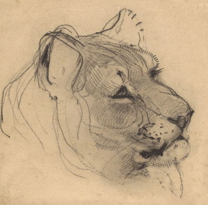 Bernard Willem Wierink - Kop van een leeuwin