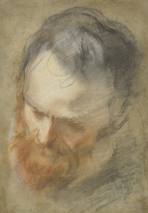 Federico Barocci - Head of a Bearded Man