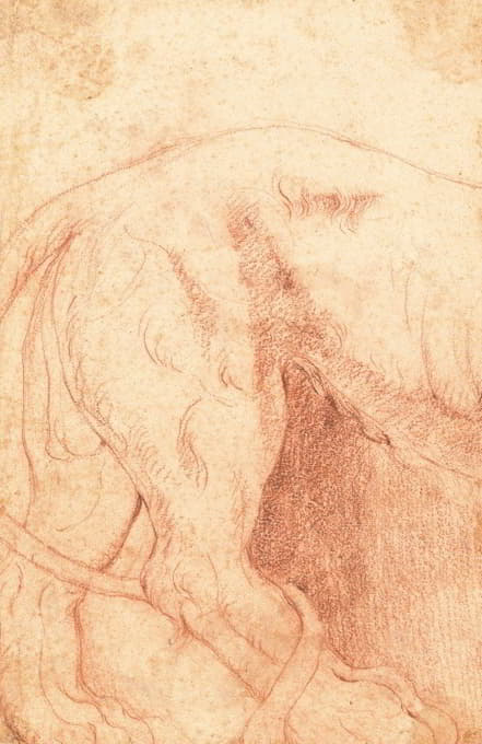 Giovanni Battista Piranesi - Fragment of a Lion Bas-Relief (verso)