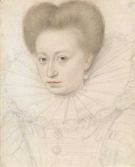一位贵族妇女的肖像（佩利加夫人）