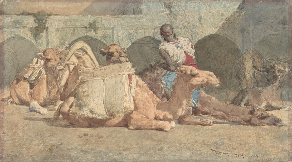 Mariano Fortuny Marsal - Camels Reposing, Tangiers