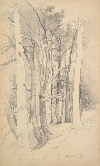 Carl Hummel - Trees near Diessen