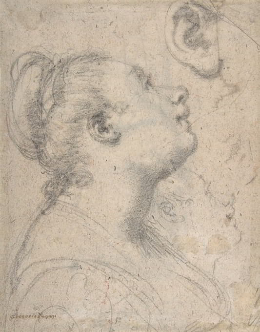 Gregorio Pagani - The Head and Shoulders of a Woman in Profile