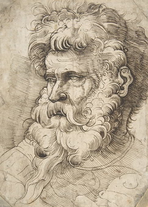 Monogrammist SM - Head of a Bearded Man
