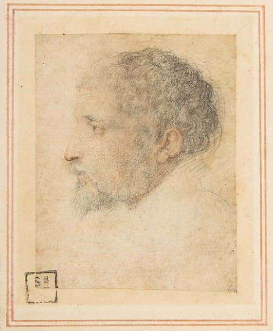 Parmigianino - Head of man in Profile to Left