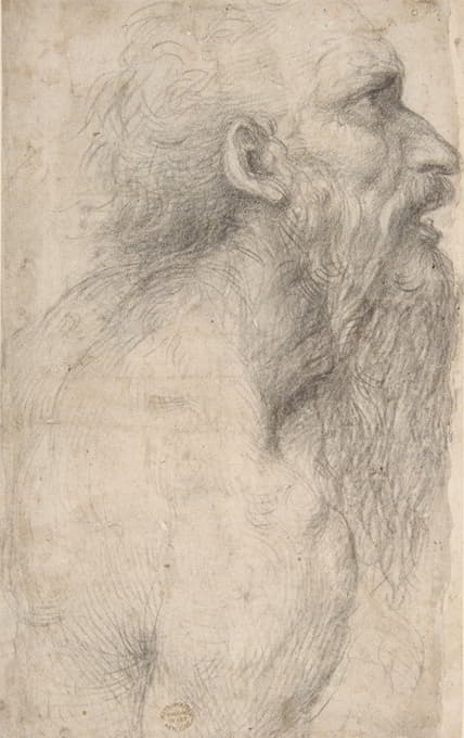 Sodoma - Bust of a Man with Long Beard