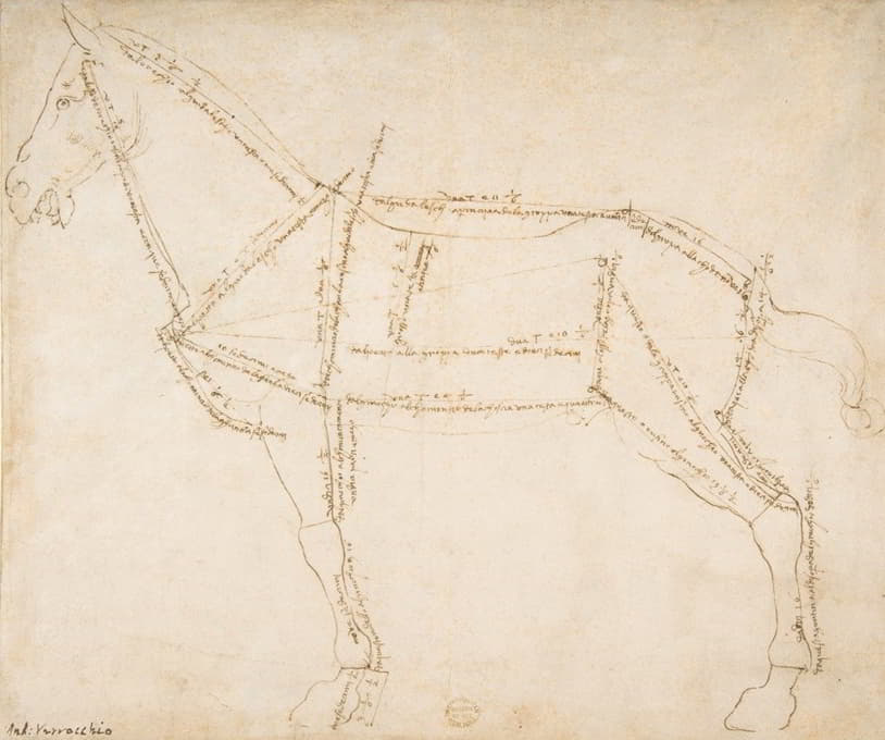Andrea del Verrocchio - Measured Drawing of a Horse Facing Left