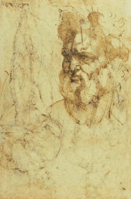 Baccio Bandinelli - Study of the Head of a Bearded Man