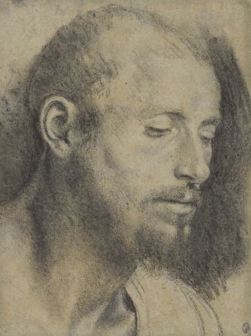 Giovanni Girolamo Savoldo - Study of the Head of a Bearded Man