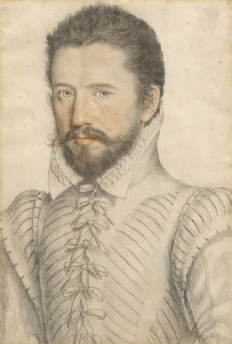 一个留着胡子的男人的肖像，半身，穿着斜纹紧身上衣