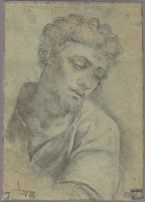 Sebastiano del Piombo - Study for the Figure of Christ Carrying the Cross