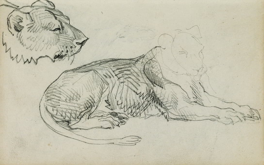 Théodore Géricault - Seated lion, head of lioness
