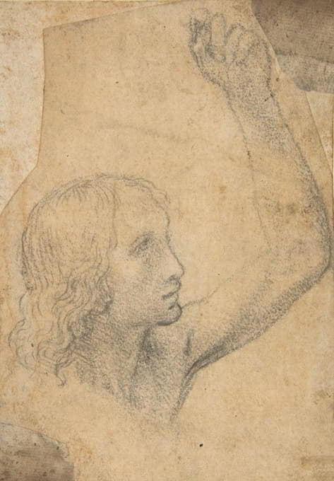 Timoteo Viti - Youth with Right Arm Raised in a Shoulder-Length Portrayal (preparatory study for St. Sebastian)