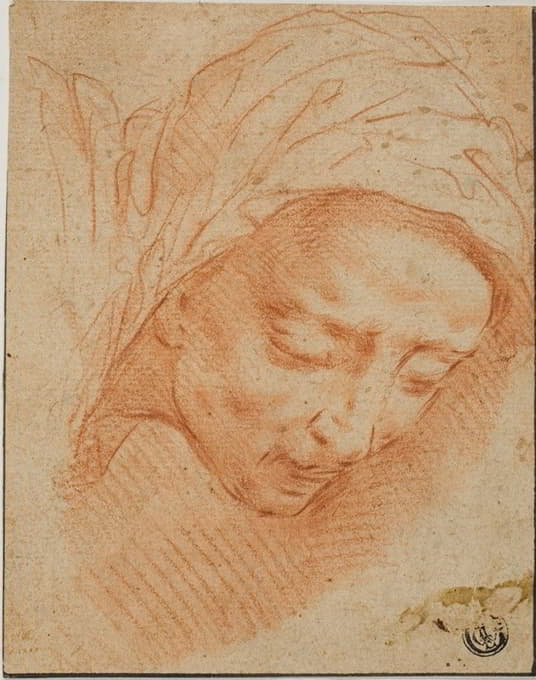 Bernardino Poccetti - Woman’s Head