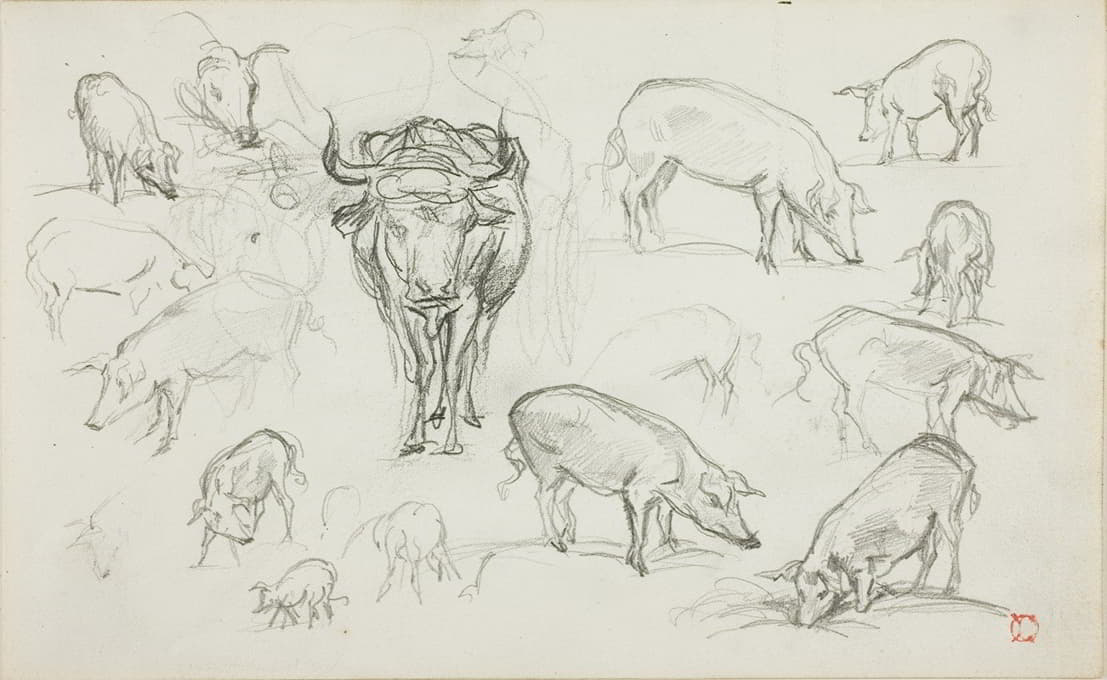 Charles François Daubigny - Sketches of Swine and an Ox