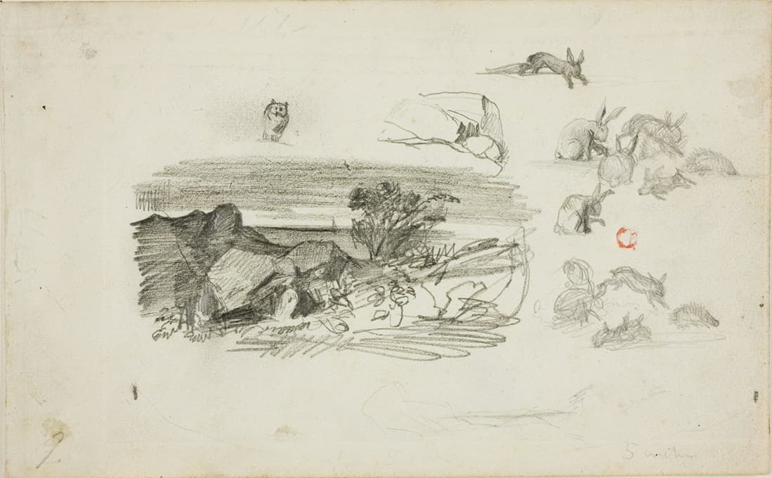 草图；岩石背景和兔子
