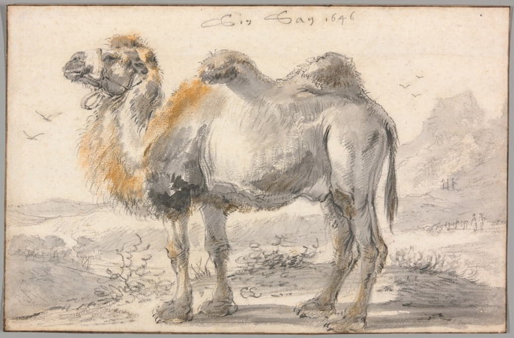Cornelis Saftleven - A Camel