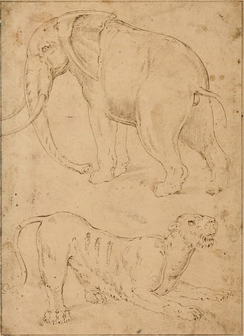 Giovanni-Battista Franco - Étude d’un éléphant et d’une panthère