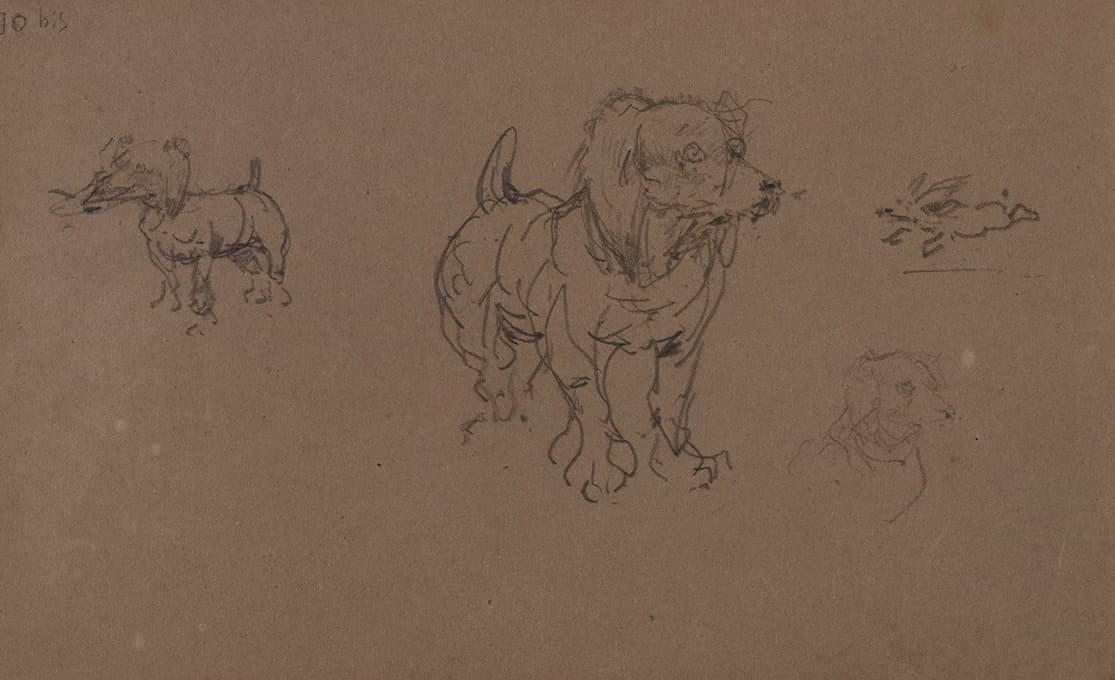 Henri de Toulouse-Lautrec - Études de chiens