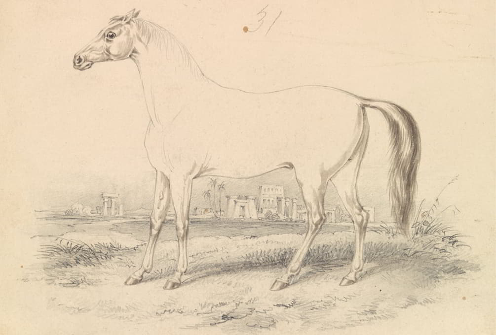 Charles Hamilton Smith - The Dongola Horse