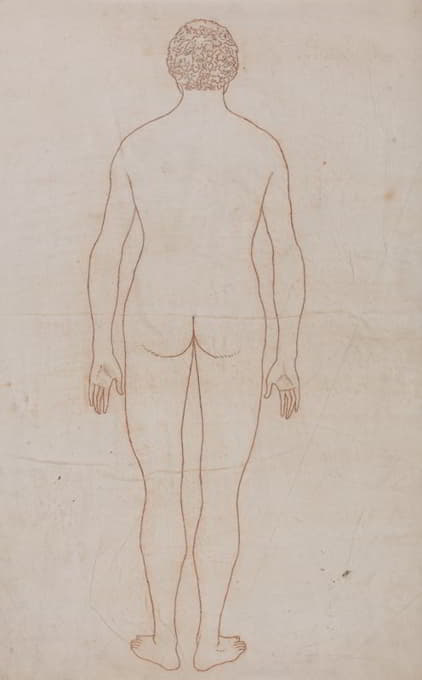 George Stubbs - Human Body, Posterior View