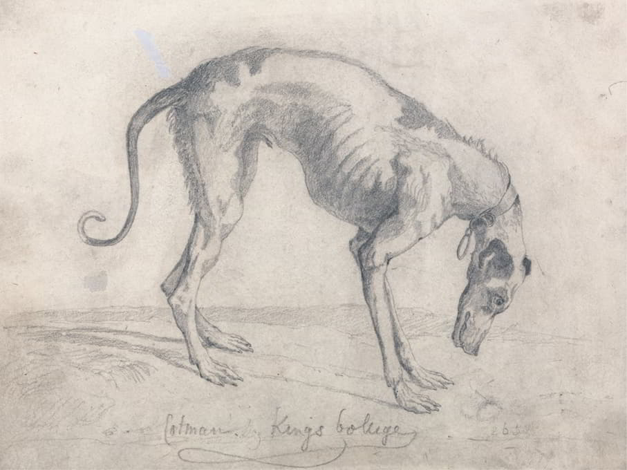 John Sell Cotman - A Starved Greyhound
