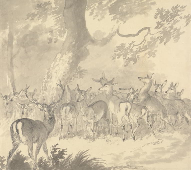 关于鹿的习作；前景中有一群鹿和小鹿在树下