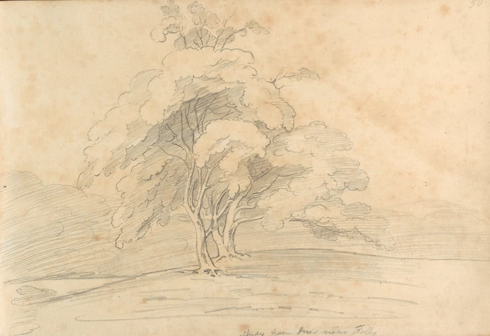William Brockedon - Study from trees near Folly