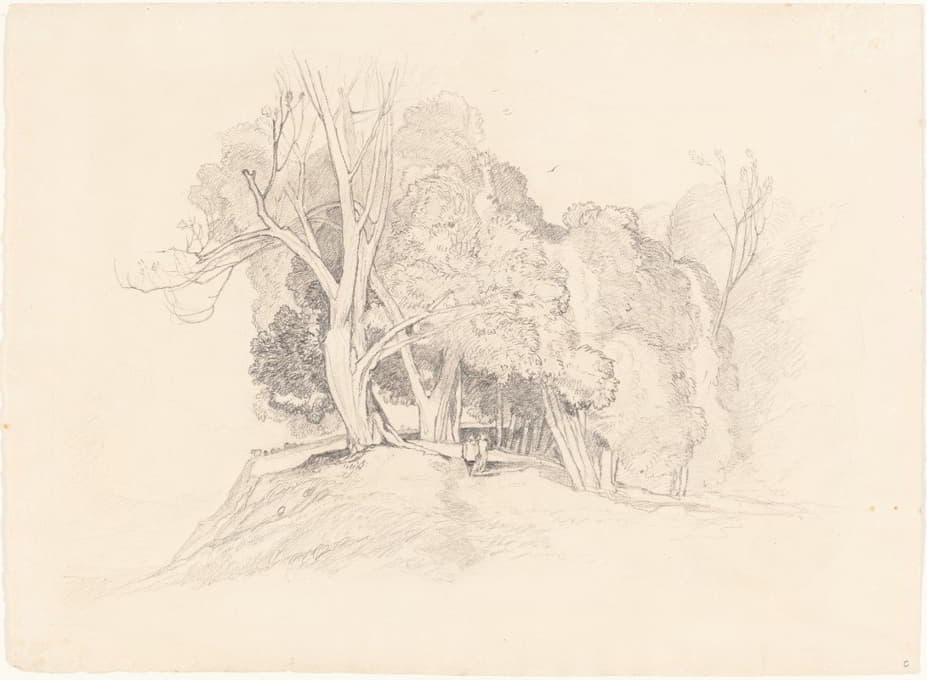British 19th Century - after John Sell Cotman, Landscape with Trees